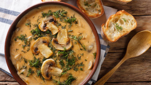 The Role of Mushrooms in Gut Health and Microbiome Balance