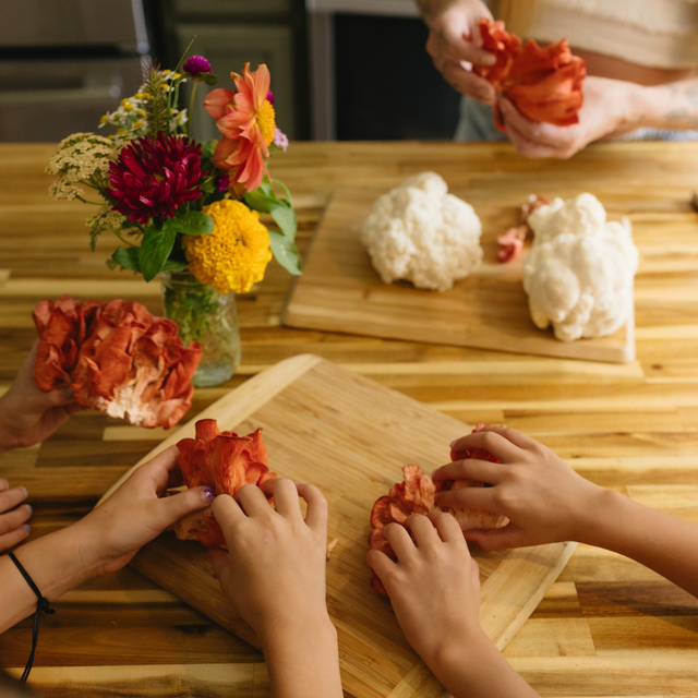 Pink Oyster ShroomBag | Mushroom Grow Kit | Fastest Growing