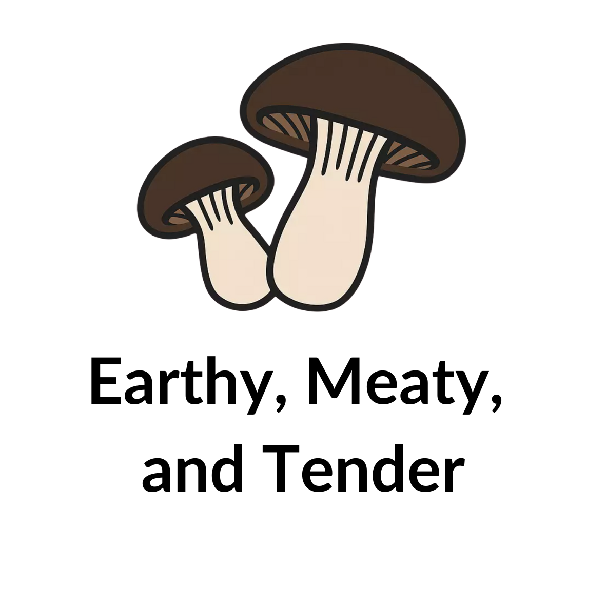 Black King Oyster Shroombag | Mushroom Grow Kit | Grill-Worthy