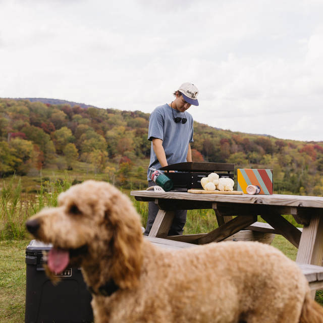 Lion's Mane ShroomBag | Mushroom Grow Kit | Brain Health