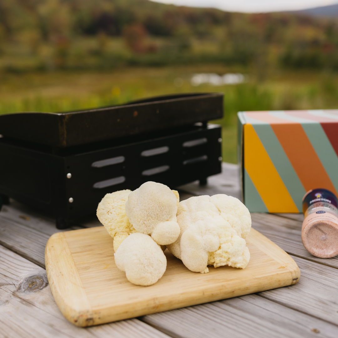 Lion's Mane ShroomBag | Mushroom Grow Kit | Brain Health