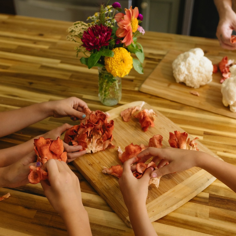 Fresh Mushrooms from Home Grow Kit: Family Harvesting Pink Oyster Mushrooms Together - Fun Educational Cooking Activity