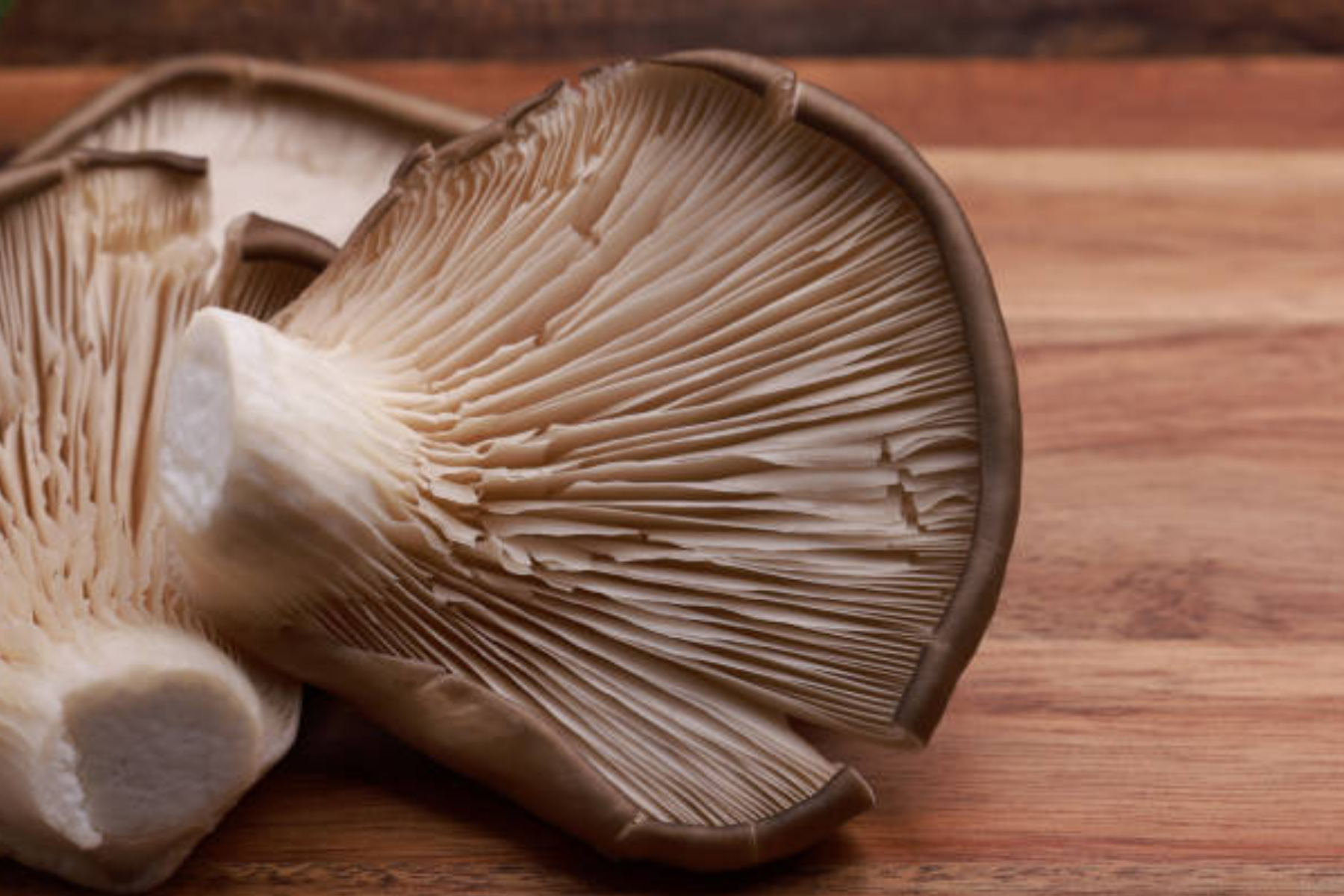 Close-up of fresh oyster mushrooms displaying delicate tan-colored caps with fine radiating gills underneath, thick white stems, and smooth texture, arranged on a warm wooden cutting board surface.