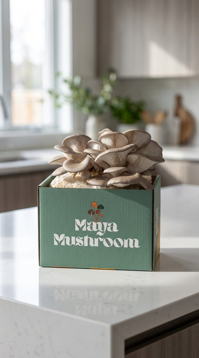 Mushroom Grow Kit Gift Set | ShroomBag Share Pack