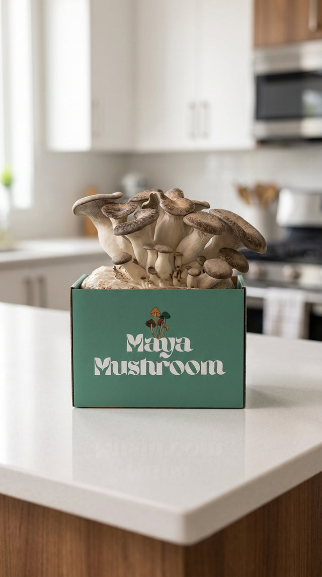 Mushroom Grow Kit Gift Set | ShroomBag Share Pack