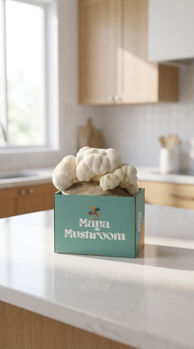 Mushroom Grow Kit Gift Set | ShroomBag Share Pack