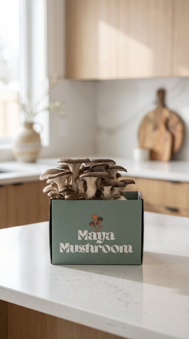 Mushroom Grow Kit Gift Set | ShroomBag Share Pack