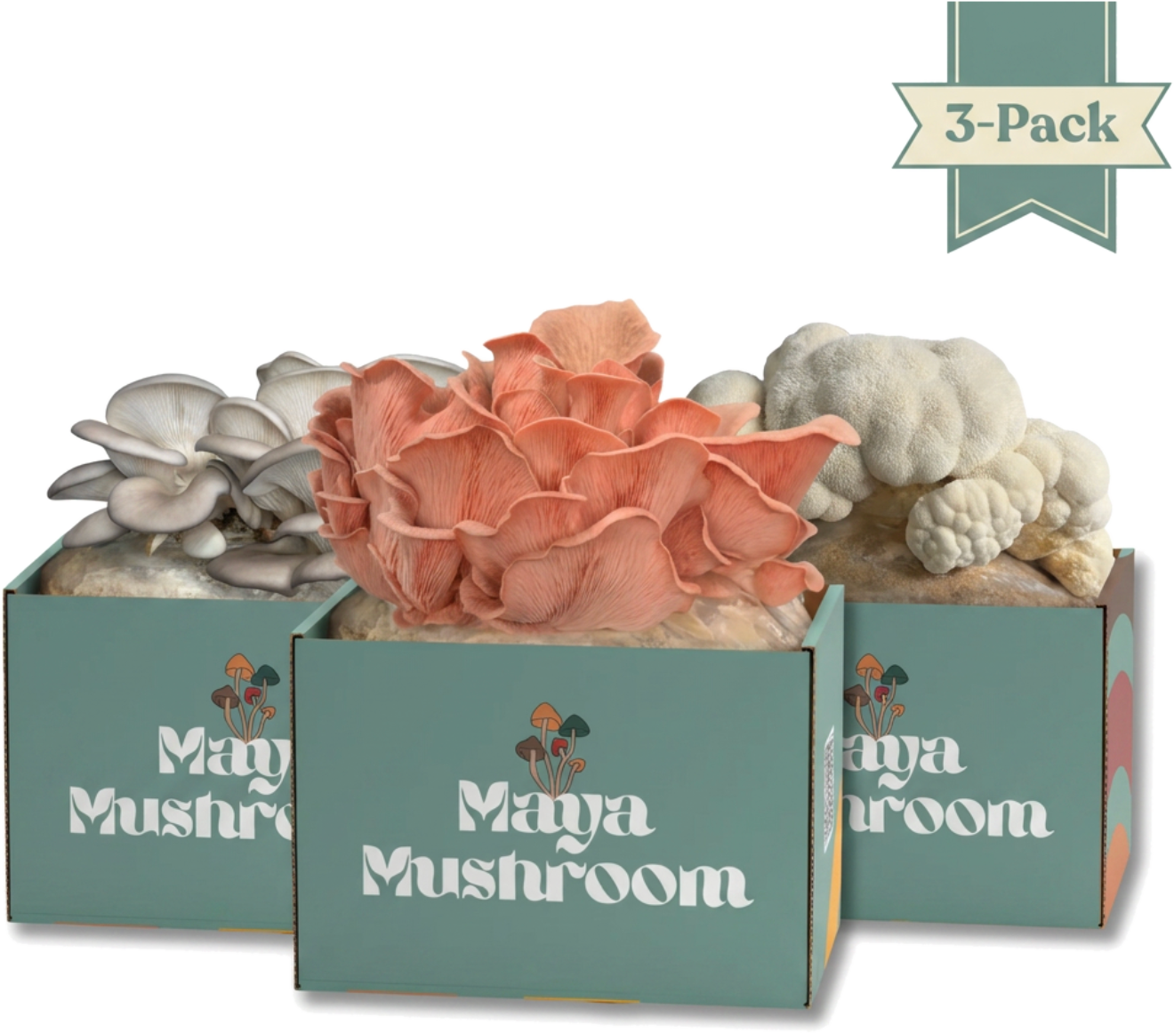 Variety Pack mushroom grow kit with Blue Oyster, Pink Oyster and Lion's Mane ShroomBags