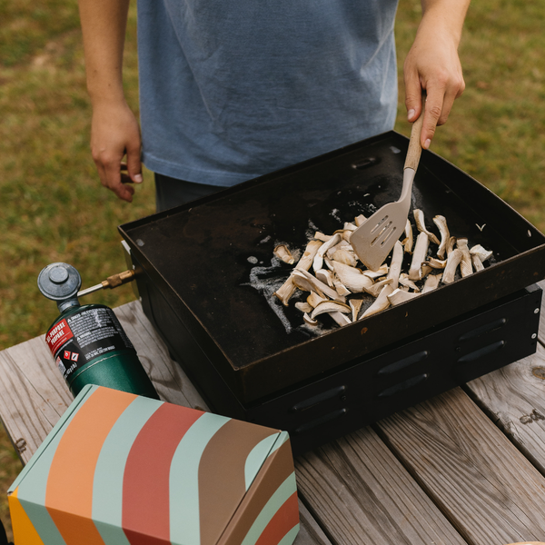 The Complete Beginner's Guide to Growing Mushrooms at Home