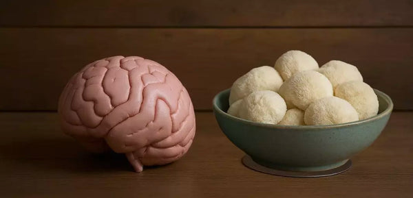 Healthy and Delicious: Everyday Recipes With Lion’s Mane Mushrooms