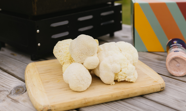 Lion's Mane ShroomBag | Mushroom Grow Kit | Brain Health