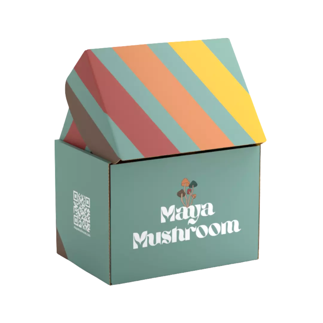Mushroom Grow Kit: Maya Mushroom Box with Vibrant Striped Packaging - Complete Home Cultivation System Ready to Ship