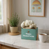 Lion's Mane growing out of a ShroomBag on a marble countertop with a cup of coffee and plant in the background.