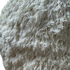 Close-up of a lion's mane, showing its frills 
