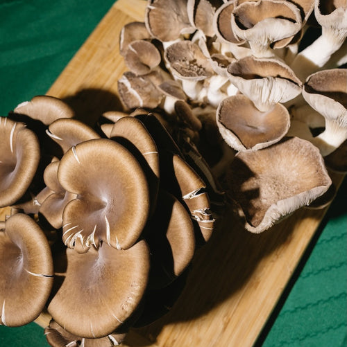 Brown mushrooms on a wooden cutting board with a green background