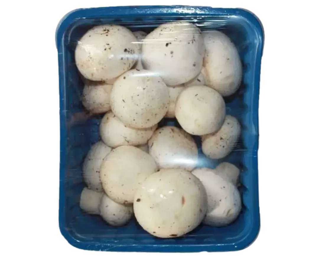 Mushrooms in a blue plastic container on a white background