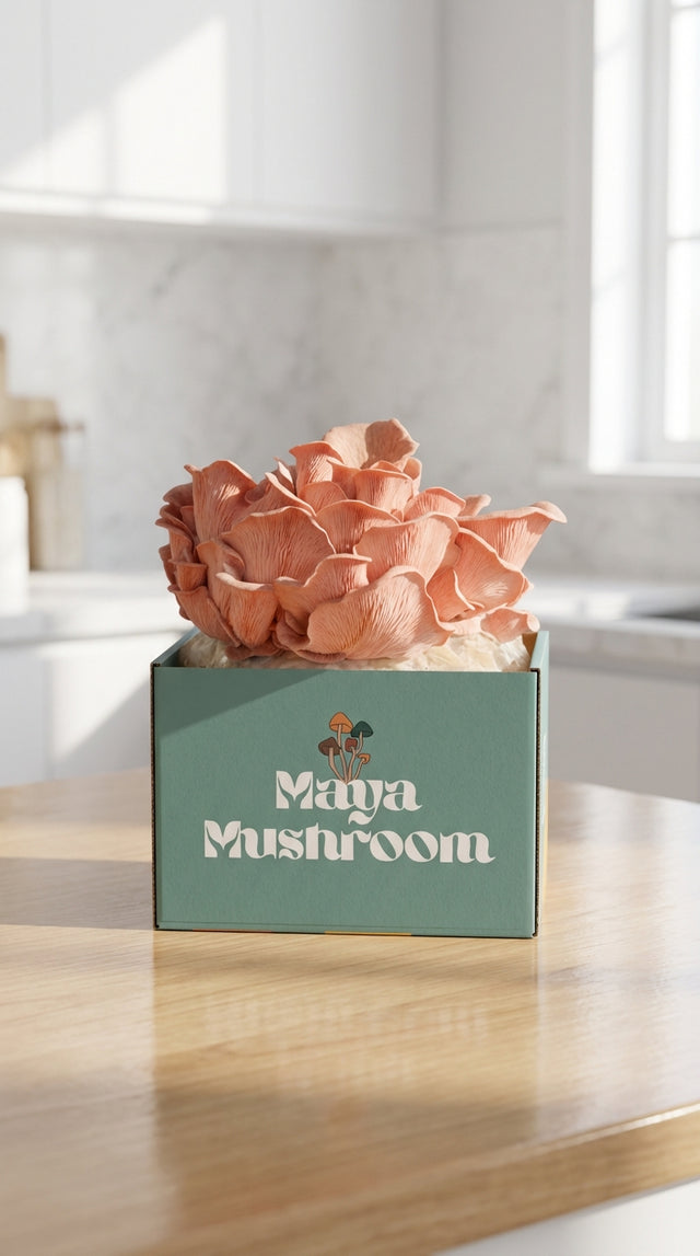 Mushroom Grow Kit Gift Set | ShroomBag Share Pack